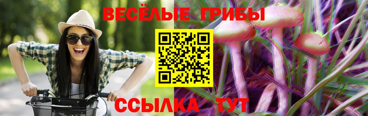 Ишимбай  где можно купить наркотик  Галлюциногенные грибы ЛСД  Вход с VPN  Псилоцибиновые грибы Psilocybine cubensis 